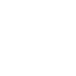 icon horse shoe